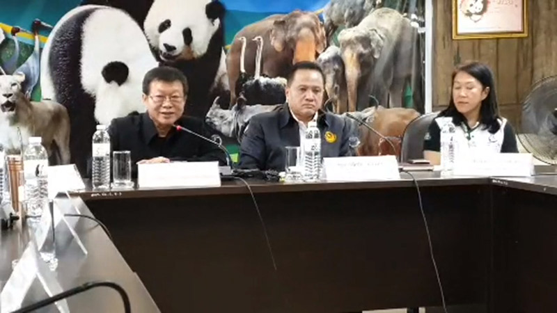 ช่วงช่วงตาย ช่วงช่วงตาย