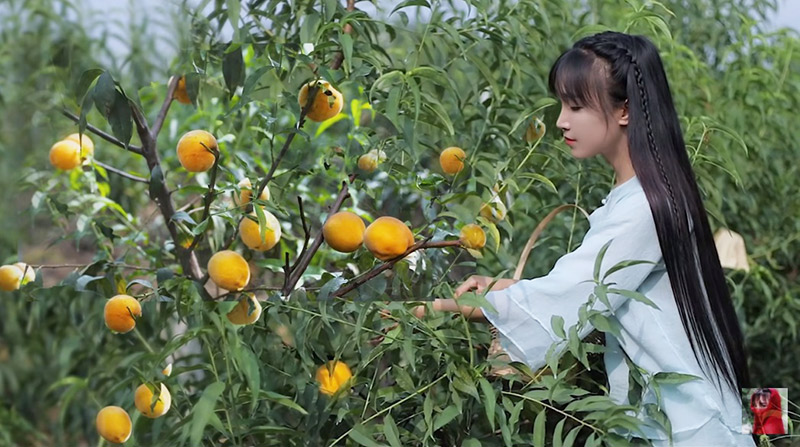 หลี่ จื่อชี ยูทูบเบอร์จีน หลี่ จื่อชี ยูทูบเบอร์จีน