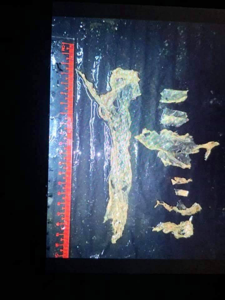 ทิ้งขยะลงทะเล ทิ้งขยะลงทะเล