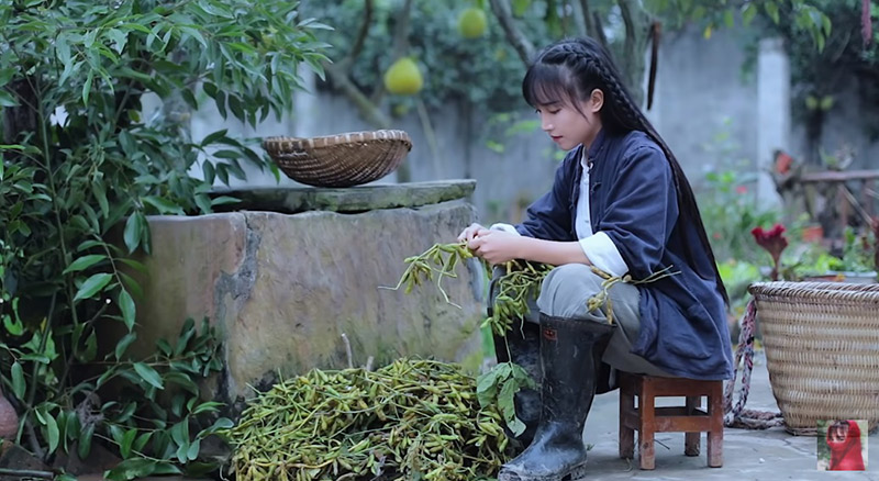 หลี่ จื่อชี ยูทูบเบอร์จีน หลี่ จื่อชี ยูทูบเบอร์จีน