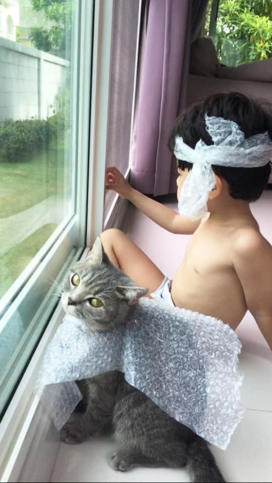 น้องกัปตัน เหมียวชาคริต น้องกัปตัน เหมียวชาคริต