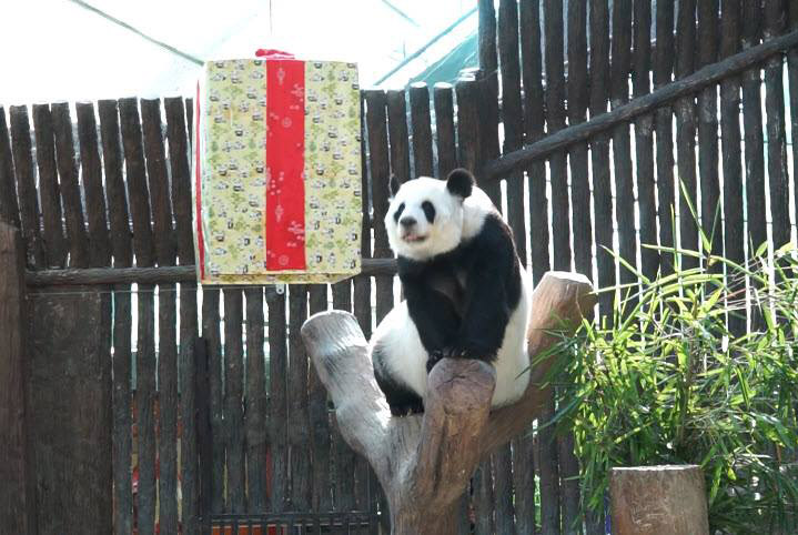 ช่วงช่วงตาย ช่วงช่วงตาย