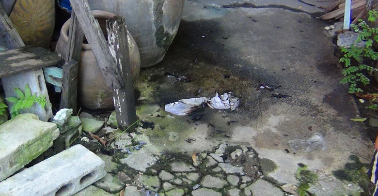 แม่ค้าออนไลน์จุดไฟเผาตัวเองสิ้นใจแล้ว แม่ค้าออนไลน์จุดไฟเผาตัวเองสิ้นใจแล้ว