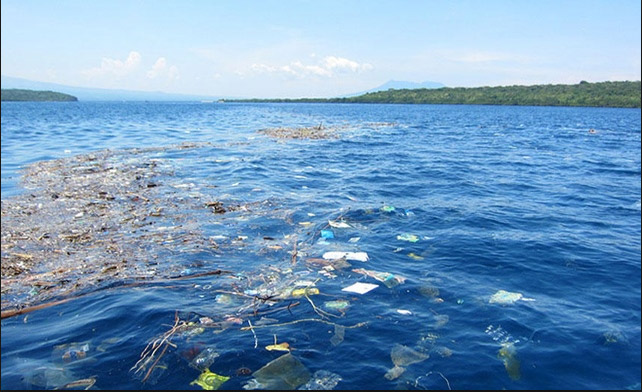 ทิ้งขยะลงทะเล ทิ้งขยะลงทะเล