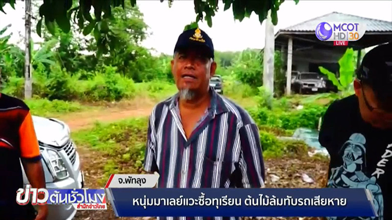 ต้นไม้ล้มทับรถ ต้นไม้ล้มทับรถ