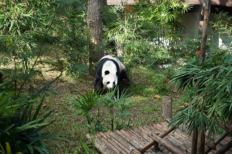 ช่วงช่วงตาย ช่วงช่วงตาย