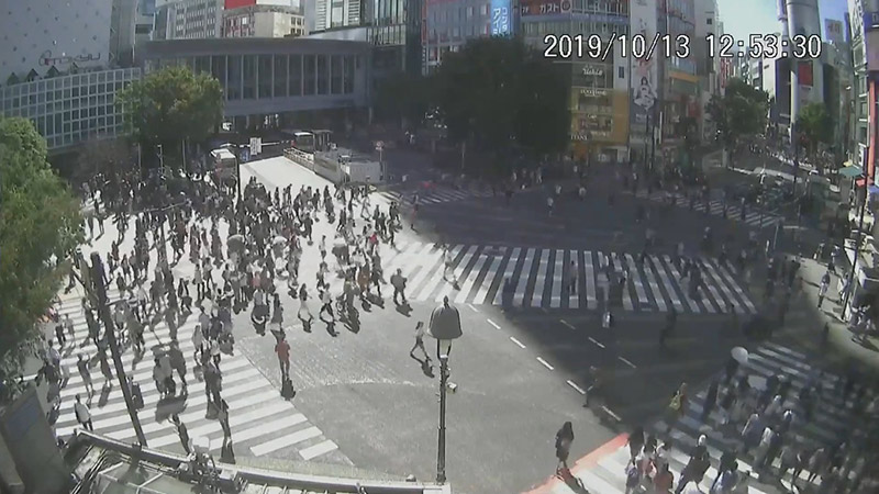 พายุฮากิบิส พายุฮากิบิส