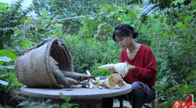 หลี่ จื่อชี ยูทูบเบอร์จีน หลี่ จื่อชี ยูทูบเบอร์จีน