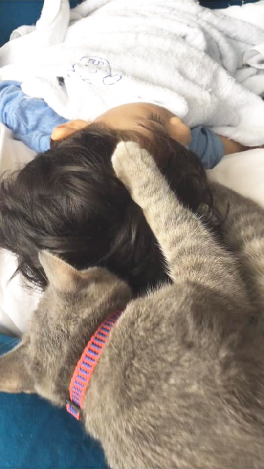 น้องกัปตัน เหมียวชาคริต น้องกัปตัน เหมียวชาคริต