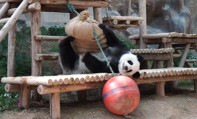 ช่วงช่วงตาย ช่วงช่วงตาย