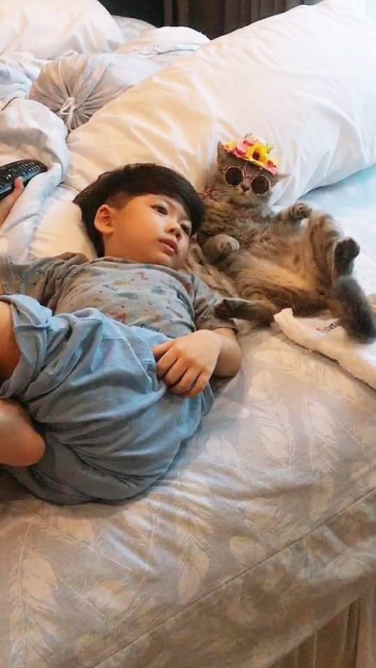 น้องกัปตัน เหมียวชาคริต น้องกัปตัน เหมียวชาคริต