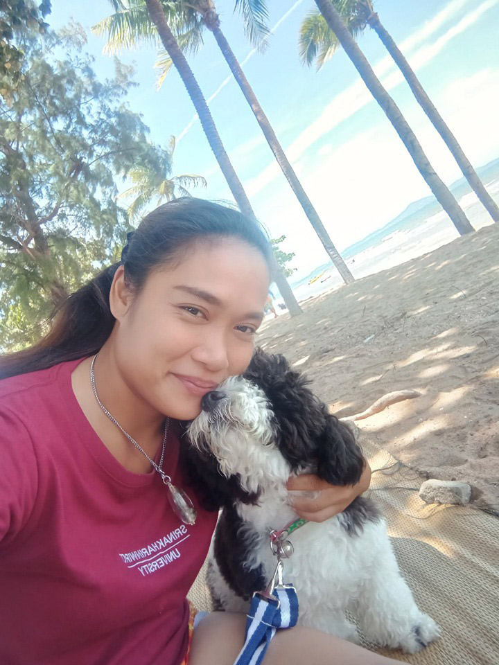 น้องมาสด้า หมาชิสุ น้องมาสด้า หมาชิสุ