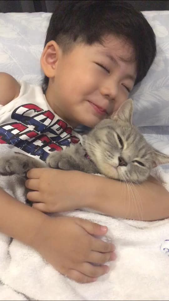 น้องกัปตัน เหมียวชาคริต น้องกัปตัน เหมียวชาคริต