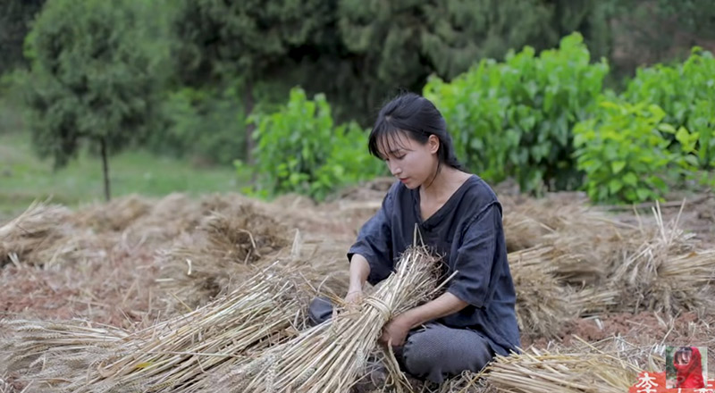 หลี่ จื่อชี ยูทูบเบอร์จีน หลี่ จื่อชี ยูทูบเบอร์จีน