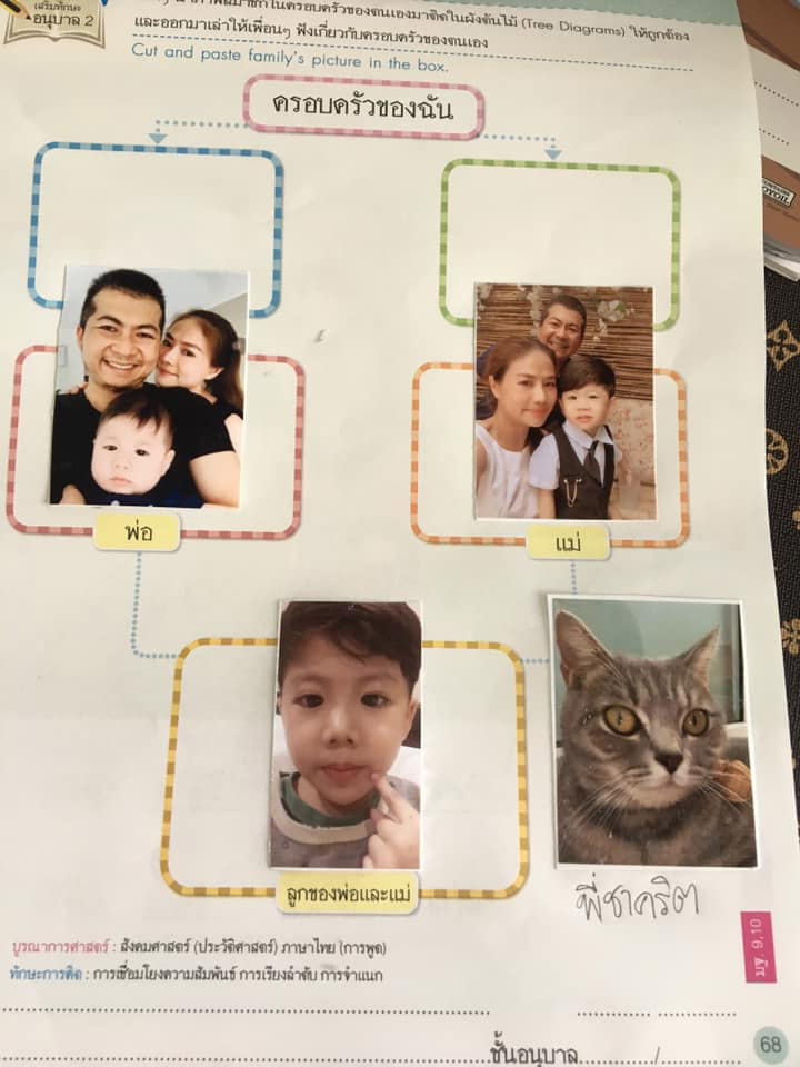 น้องกัปตัน เหมียวชาคริต น้องกัปตัน เหมียวชาคริต