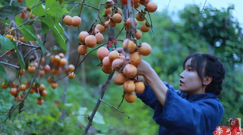 หลี่ จื่อชี ยูทูบเบอร์จีน หลี่ จื่อชี ยูทูบเบอร์จีน