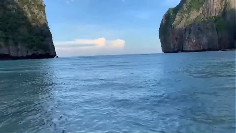 ฉลามบุกอ่าวมาหยา ฉลามบุกอ่าวมาหยา