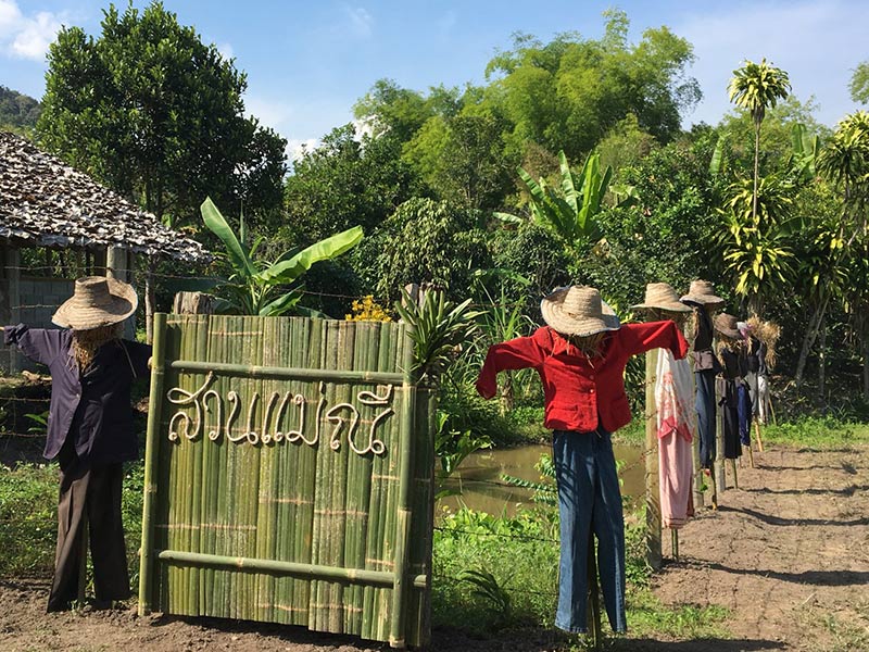 โฮมสเตย์ โฮมสเตย์