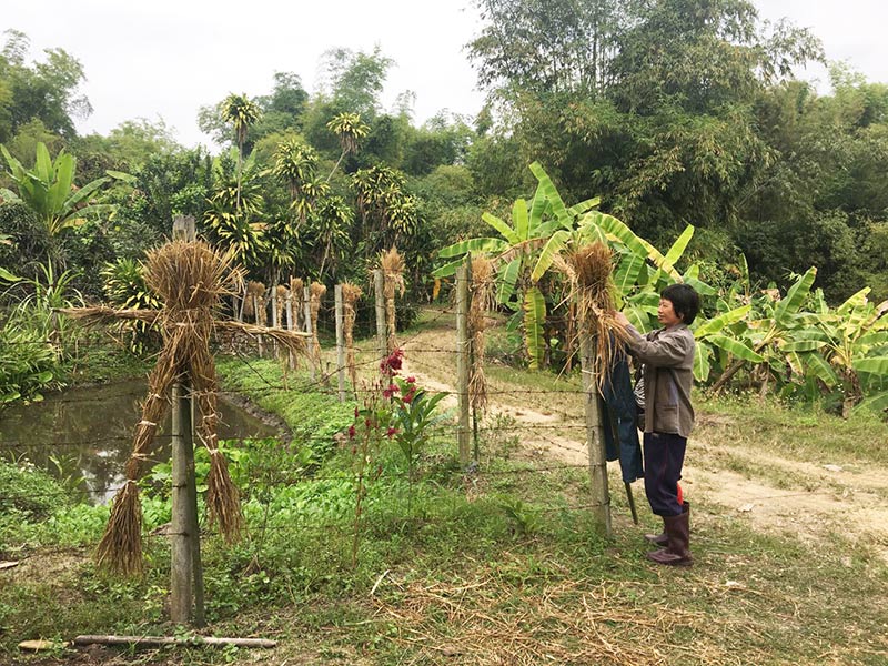 โฮมสเตย์ โฮมสเตย์