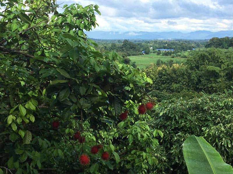 โฮมสเตย์ โฮมสเตย์