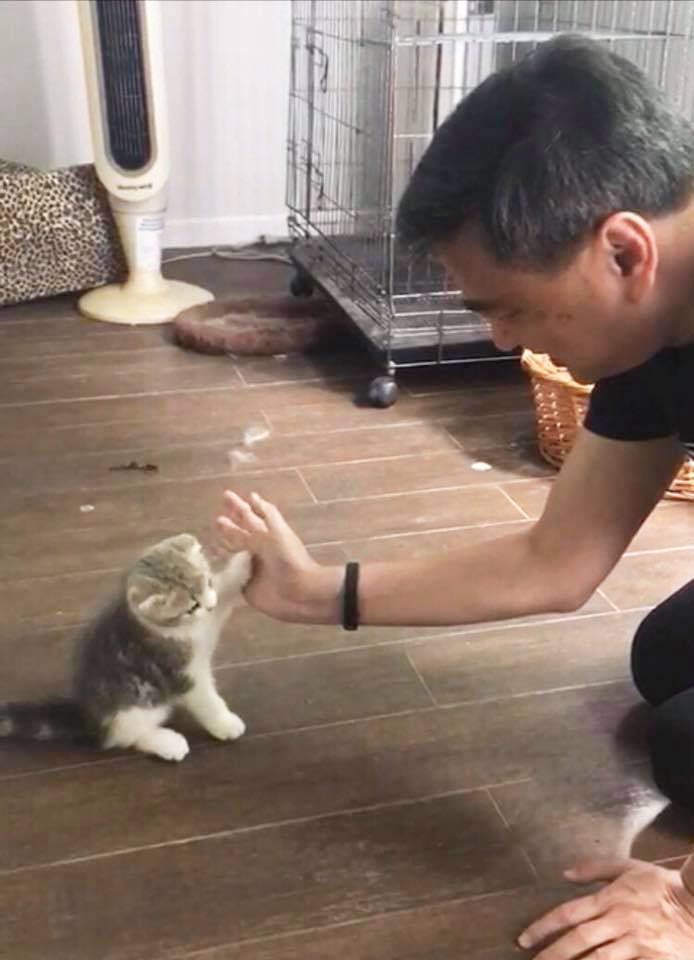 อภิสิทธิ์ เวชชาชีวะ อภิสิทธิ์ เวชชาชีวะ