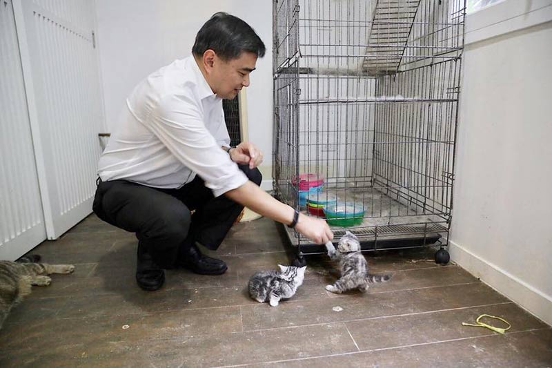 อภิสิทธิ์ เวชชาชีวะ อภิสิทธิ์ เวชชาชีวะ