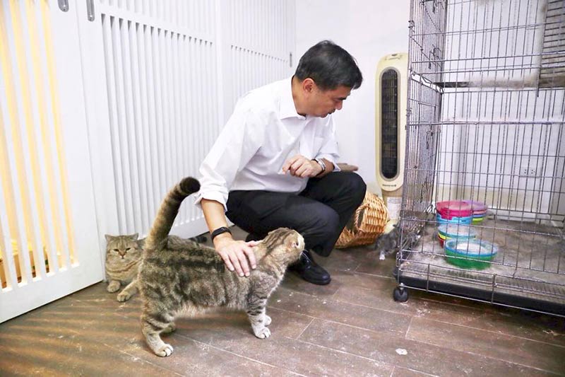 อภิสิทธิ์ เวชชาชีวะ อภิสิทธิ์ เวชชาชีวะ