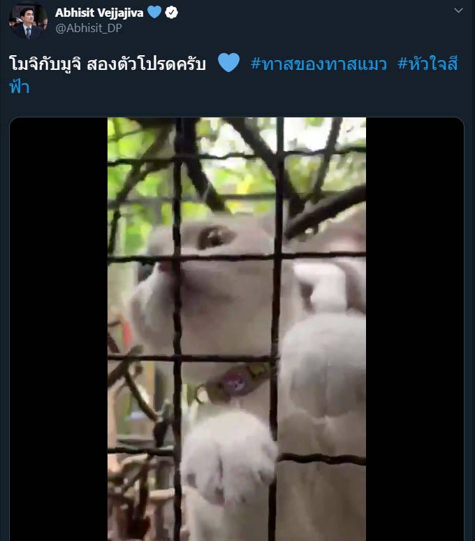 อภิสิทธิ์ เวชชาชีวะ อภิสิทธิ์ เวชชาชีวะ