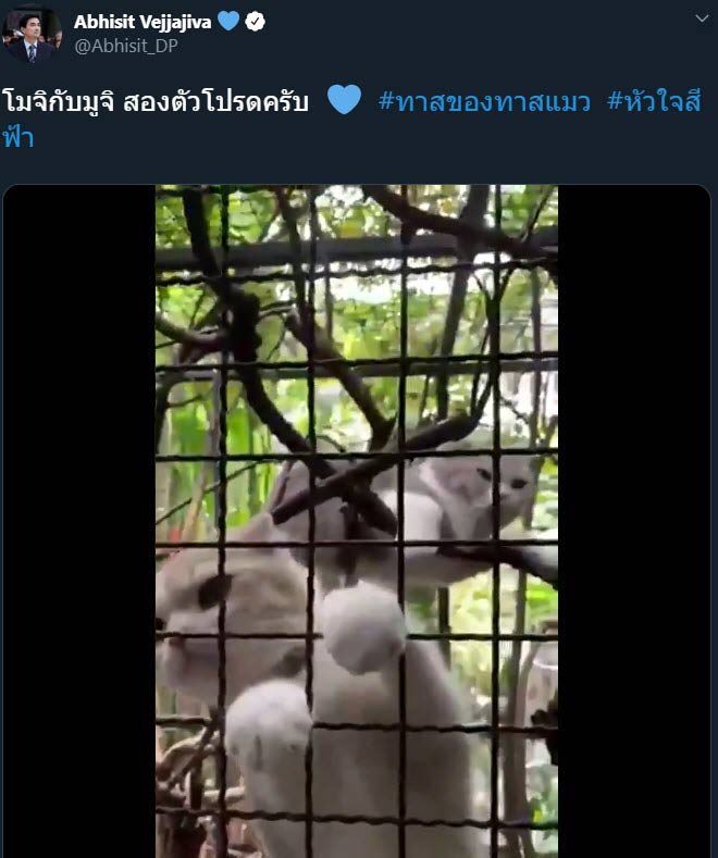 อภิสิทธิ์ เวชชาชีวะ อภิสิทธิ์ เวชชาชีวะ