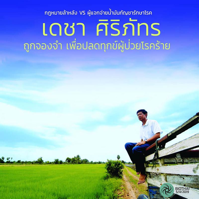 กัญชา กัญชา