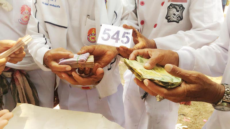 ล้างป่าช้า ล้างป่าช้า