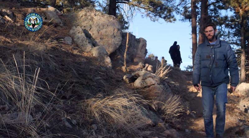 ฆ่าสัตว์ ฆ่าสัตว์