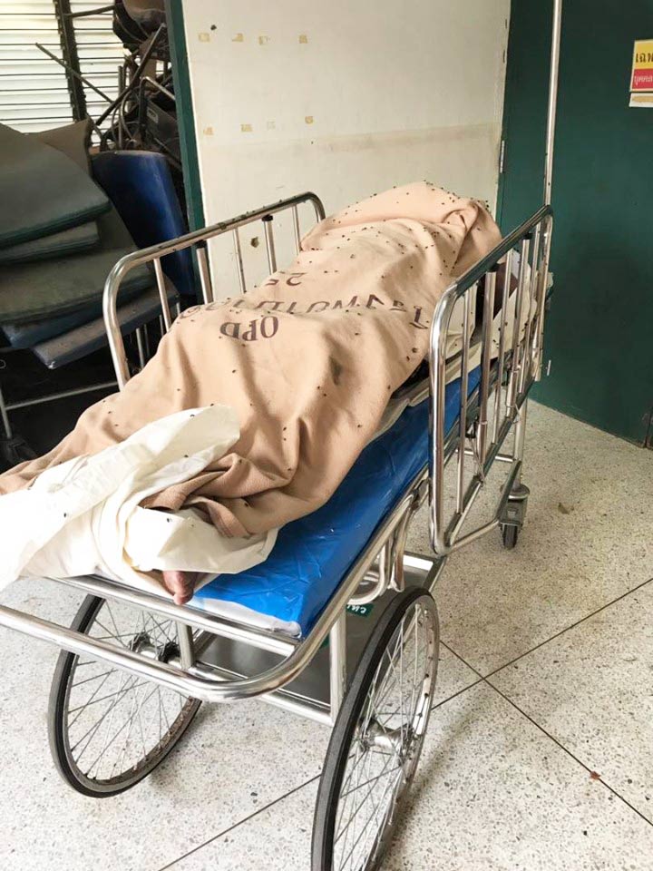 ศพคนตาย ศพคนตาย