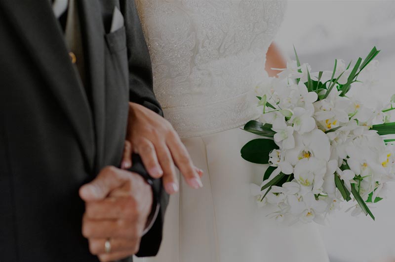 อวัยวะเพศชาย อวัยวะเพศชาย