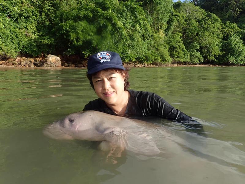 พะยูน พะยูน