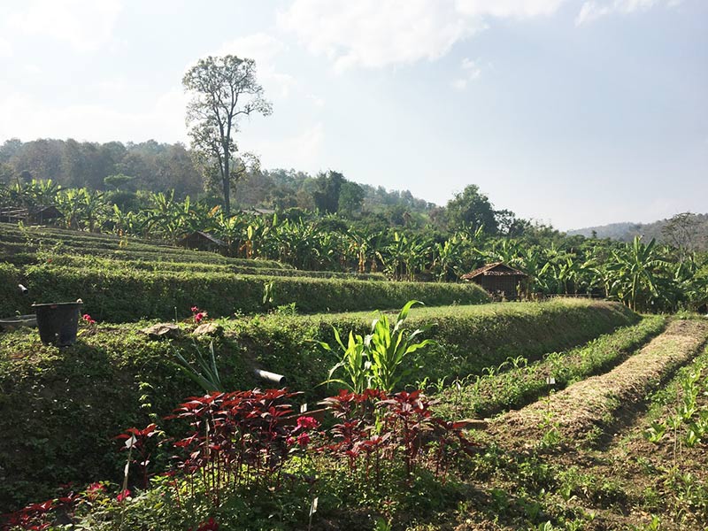 โฮมสเตย์ โฮมสเตย์