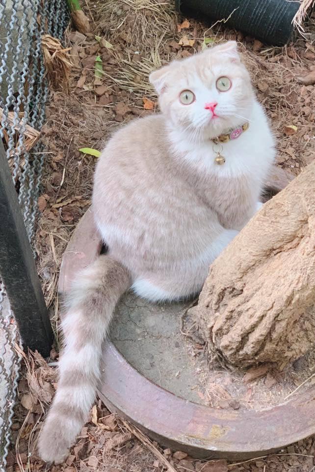 อภิสิทธิ์ เวชชาชีวะ อภิสิทธิ์ เวชชาชีวะ