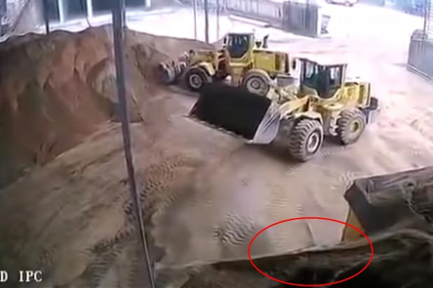 ฝังทั้งเป็น ฝังทั้งเป็น