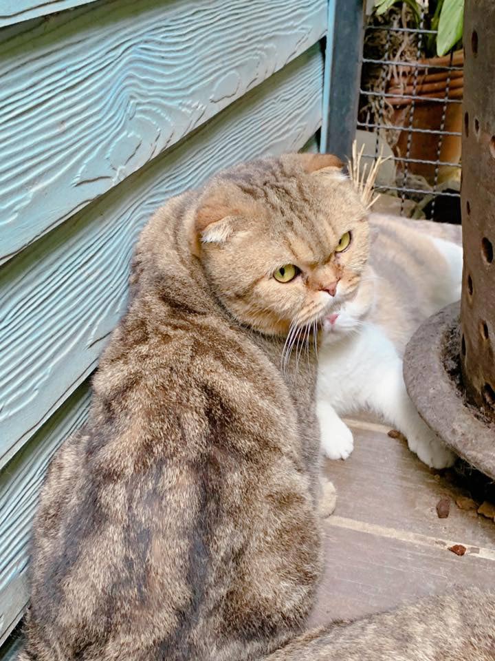 อภิสิทธิ์ เวชชาชีวะ อภิสิทธิ์ เวชชาชีวะ