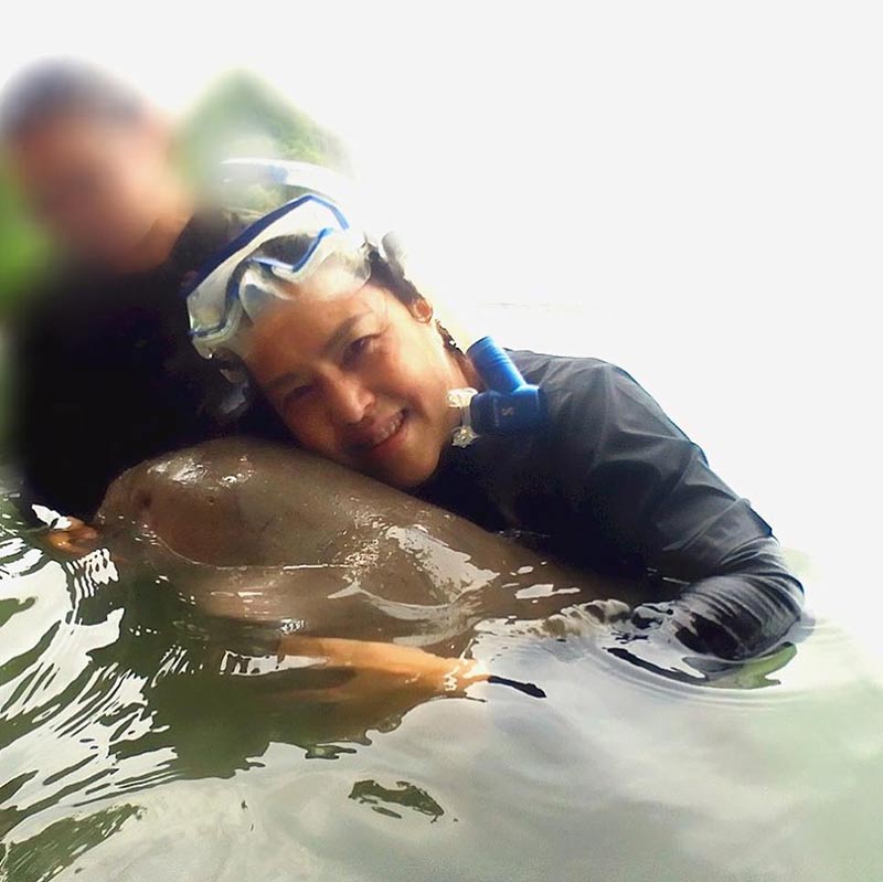 พะยูน พะยูน