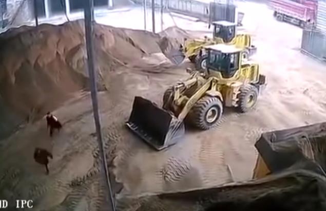 ฝังทั้งเป็น ฝังทั้งเป็น