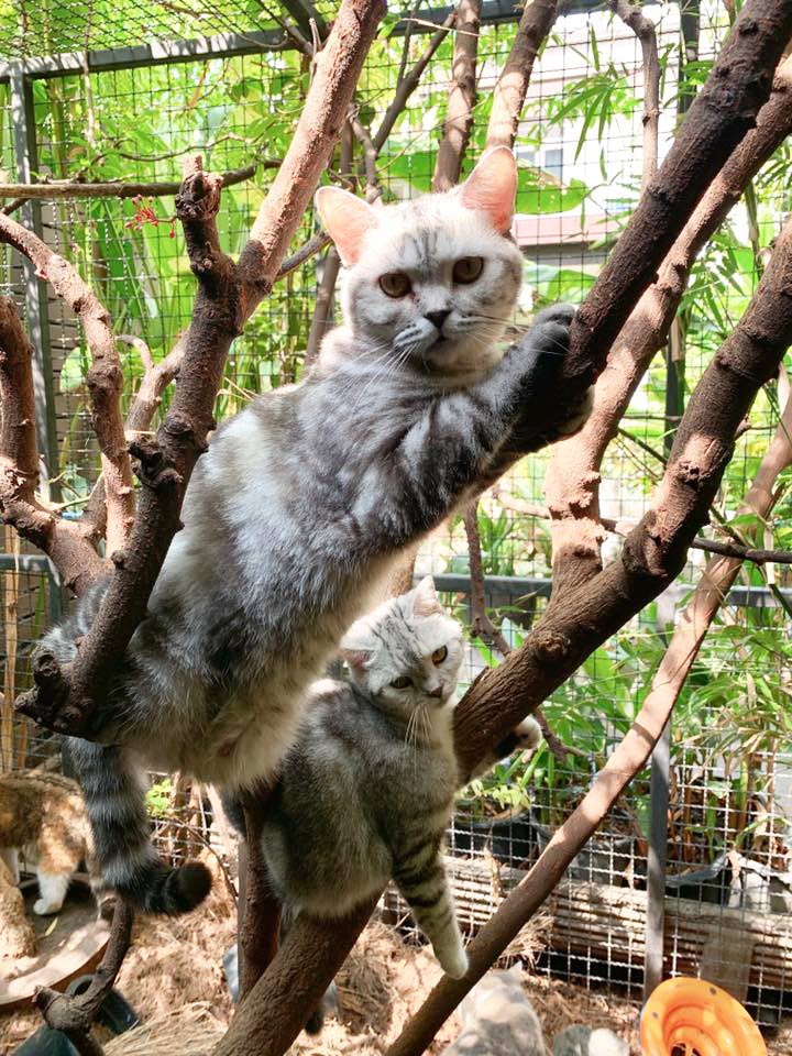 อภิสิทธิ์ เวชชาชีวะ อภิสิทธิ์ เวชชาชีวะ