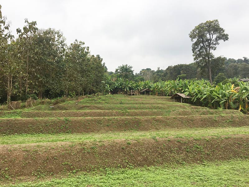 โฮมสเตย์ โฮมสเตย์