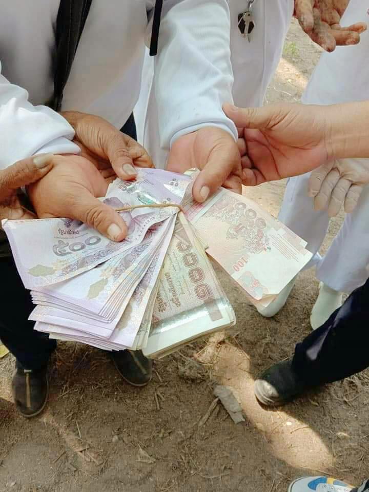 ล้างป่าช้า ล้างป่าช้า