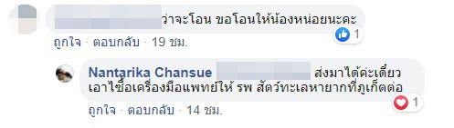 พะยูน พะยูน