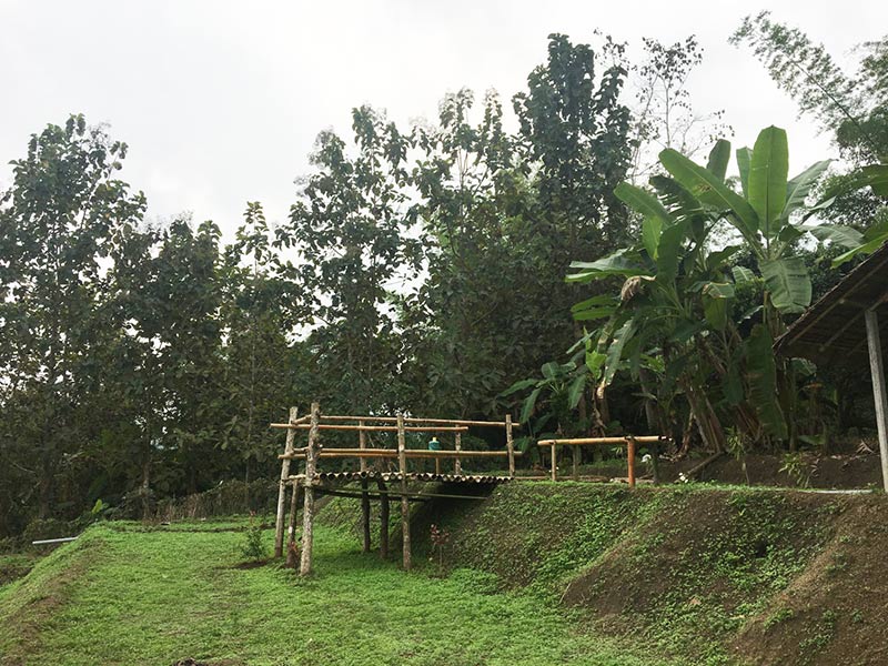 โฮมสเตย์ โฮมสเตย์