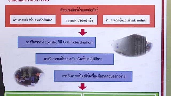 ปลาดอรี่ ปลาดอรี่