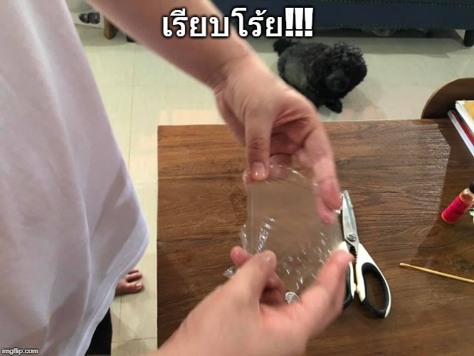 ซิฟิลิส ซิฟิลิส