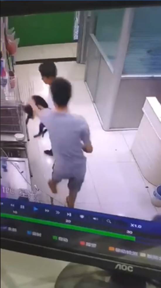 ทำร้ายหมา ทำร้ายหมา