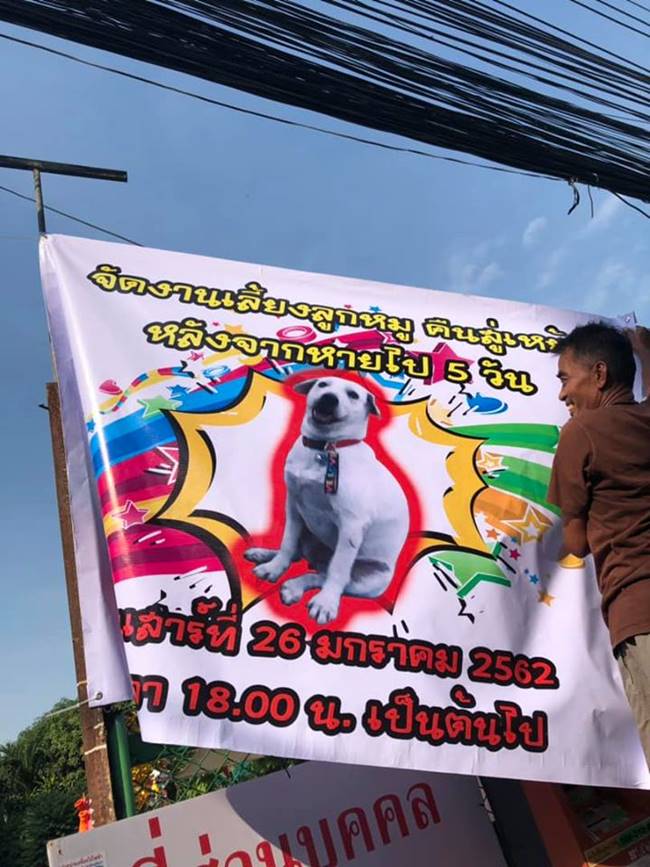 งานเลี้ยงโต๊ะจีนหมา งานเลี้ยงโต๊ะจีนหมา